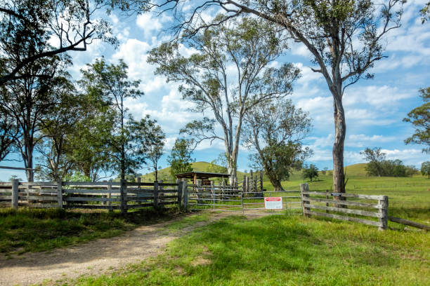 paisagem australiana do campo - cattle station - fotografias e filmes do acervo