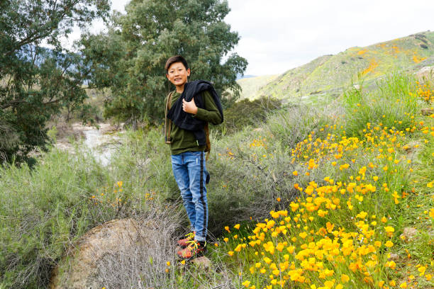 joven deportivo asiático niño disfrutando y senderismo la montaña - poppy oriental poppy plant spring fotografías e imágenes de stock