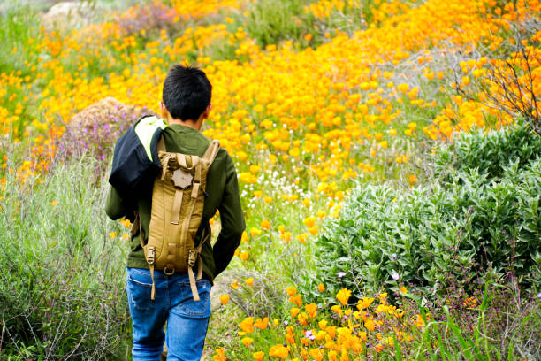 joven deportivo asiático niño disfrutando y senderismo la montaña - poppy oriental poppy plant spring fotografías e imágenes de stock