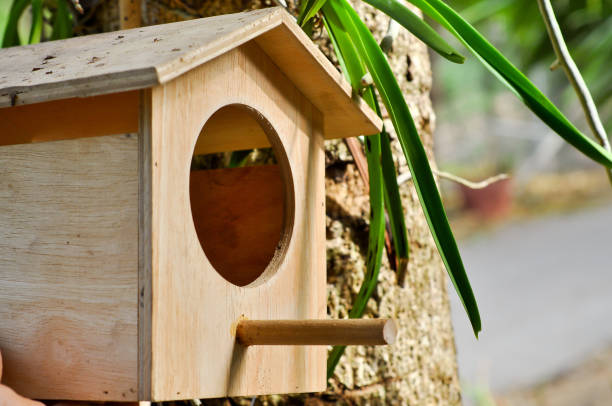istock wooden bird house 1136084812