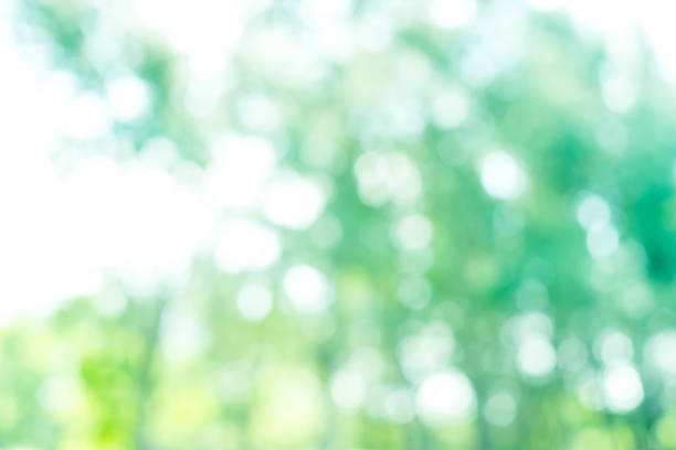 istock abstract green light bokeh soft and smooth background - can use to display or montage on product 1136095786