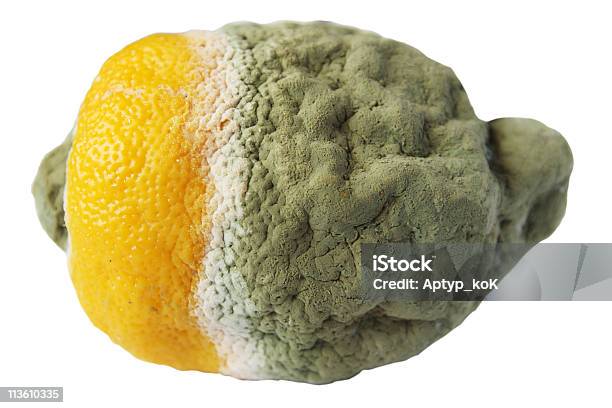 로튼 레몬색 0명에 대한 스톡 사진 및 기타 이미지 - 0명, 감귤류 과일, 곰팡이