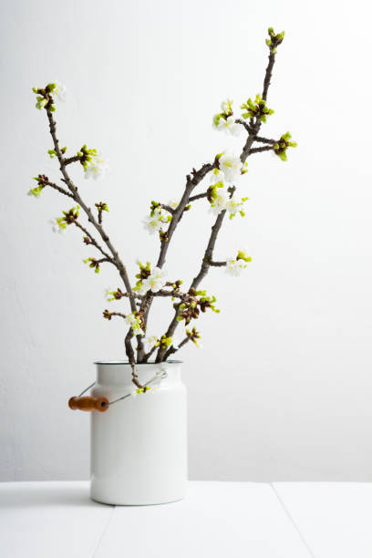 istock Bunch of cherry blossom branch 1136107713