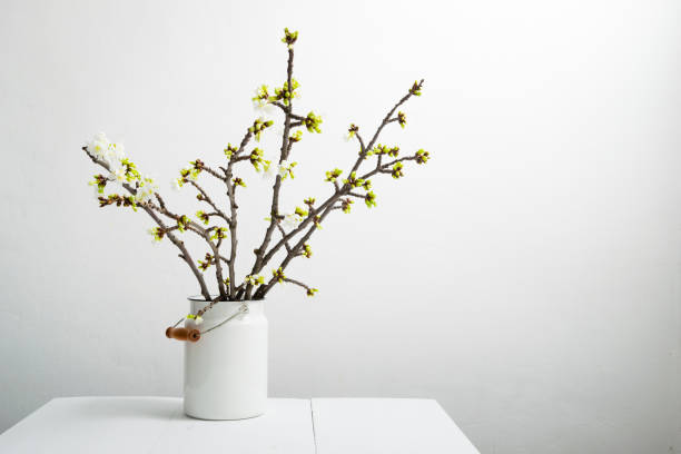 istock Bunch of cherry blossom branch 1136110147