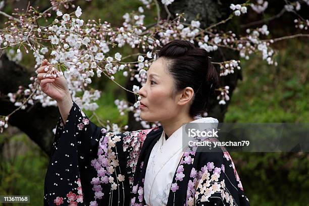 Japanische Frau Die Kirschblüten Stockfoto und mehr Bilder von Frauen über 40 - Frauen über 40, Kimono, Baum