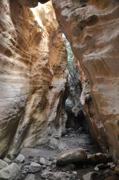 istock Gorge Avakas Cyprus. Rocks and high walls. 1136114613