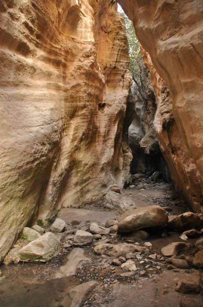 istock Gorge Avakas Cyprus. Rocks and high walls. 1136114776
