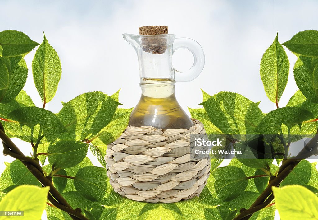 Butelka oliwy z oliwek na tle zielonych liści - Zbiór zdjęć royalty-free (Butelka)