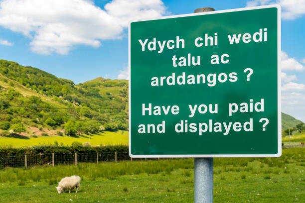 istock Dolgoch, Gwynedd, Wales, UK 1136116674