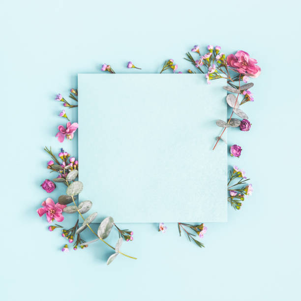 istock Flowers composition. Paper blank, pink flowers on pastel blue background. Flat lay, top view, copy space, square 1136117158