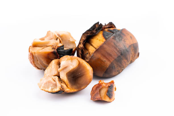 castagno arrosto - chestnut cooked isolated white foto e immagini stock