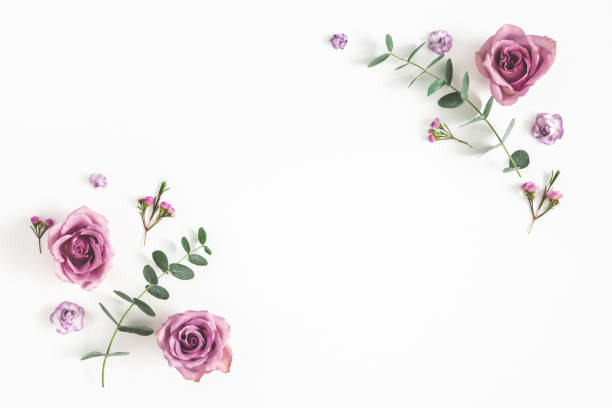 istock Flowers composition. Frame made of eucalyptus branches and rose flowers on white background. Flat lay, top view, copy space 1136118440