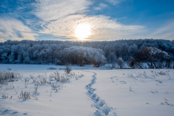 Beautiful frost in winter, on a frosty day, landscape