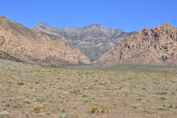 istock Red Rock Canyon in Las Vegas, Nevada 1136122656