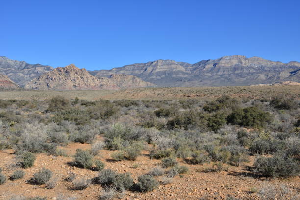istock Red Rock Canyon in Las Vegas, Nevada 1136123495