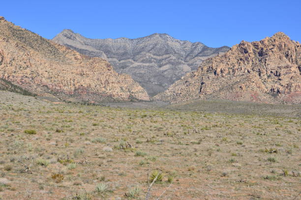 istock Red Rock Canyon in Las Vegas, Nevada 1136126217