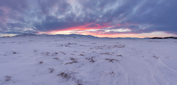 Land of Hope. Arctic tunda location in the Yamal Peninsula, Russia. Winter landscape.