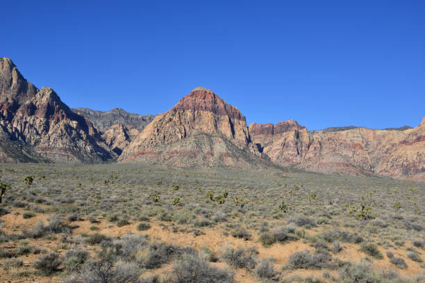 istock Red Rock Canyon in Las Vegas, Nevada 1136129248