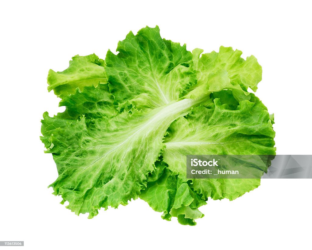 Salat - Lizenzfrei Salat - Blattgemüse Stock-Foto