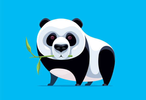 panda eating bamboo branch vector illustration of panda holding bamboo branch hungry bear stock illustrations