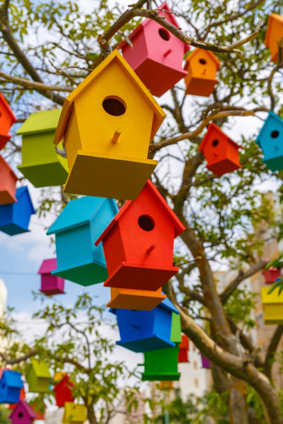 istock Many small decorative birdhouses on a mandarin tree 1136136977