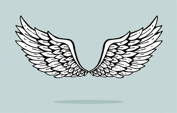 illustrazioni stock, clip art, cartoni animati e icone di tendenza di ali d'angelo disegnate a mano - alatau