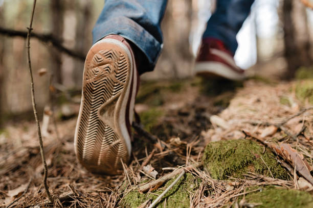 istock Man hiking in the forest. 1136142843