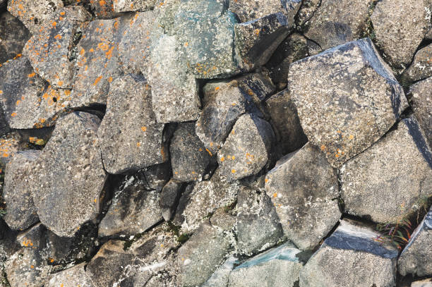 istock Textured basalt background hexagonal stone pillars in a section. natural volcanic formations 1136146217