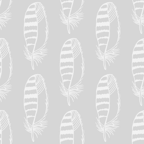 Mockingbird Feather Pattern 140+ Mockingjay Bird Stock Photos, Pictures & Royalty-Free Images - iStock