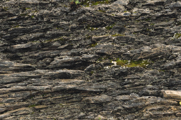 istock Textured basalt background thin stone fibers in the cut. natural volcanic formations 1136147408