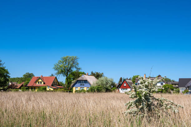 istock Building, trees and blue sky in Wieck, Germany 1136149675