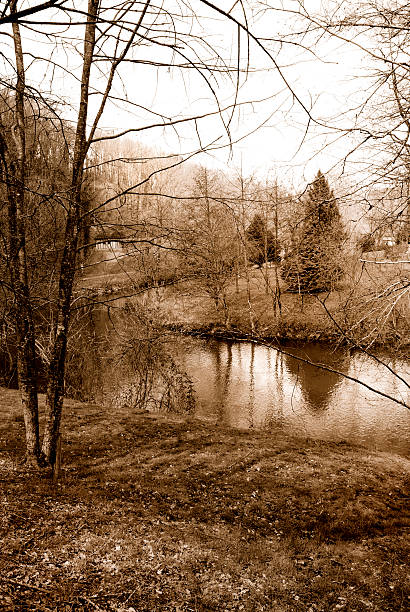 istock Black & White view of the landscape 113615603