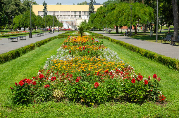 Lush flowers of a different kind in a public park - Vrnjacka Banja, Serbia