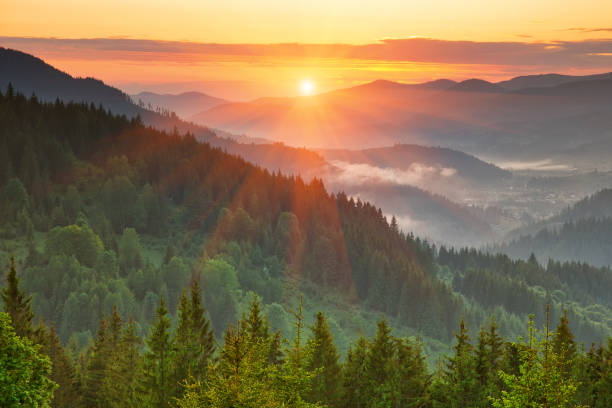 istock Beautiful sunrise in the mountains covered with woods 1136157956