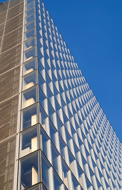 istock Windows of modern business building 113616120