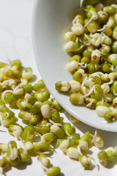 インゲン豆もやし緑 - soybean bean drenched textured ストックフォトと画像