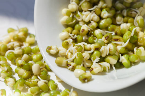 インゲン豆もやし緑 - soybean bean drenched textured ストックフォトと画像