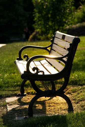 a picture of sunlight on a park bench in Highland Park Rochester New York