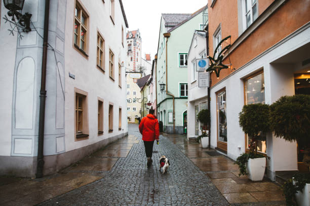 Man and dog walking at small old city in Germany Man and dog in warm clothing exploring the beautiful German town in Bavaria man walking a pug dog stock pictures, royalty-free photos & images