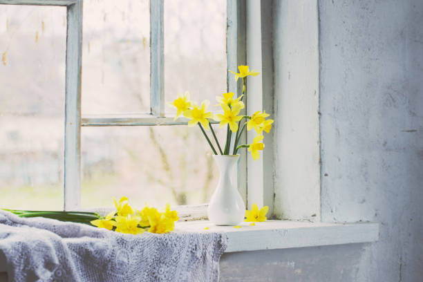 istock yellow spring flowers in vintage interior 1136165569