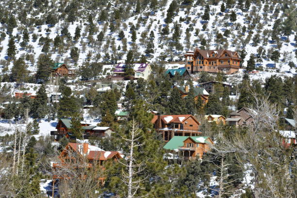 istock Winter homes on a mountain side at Mount Charleston in Nevada 1136165671