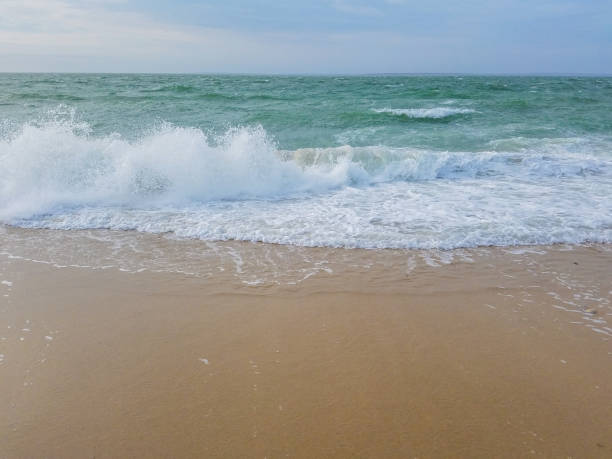 istock Foam of Waves on Sandy Beach 1136166012