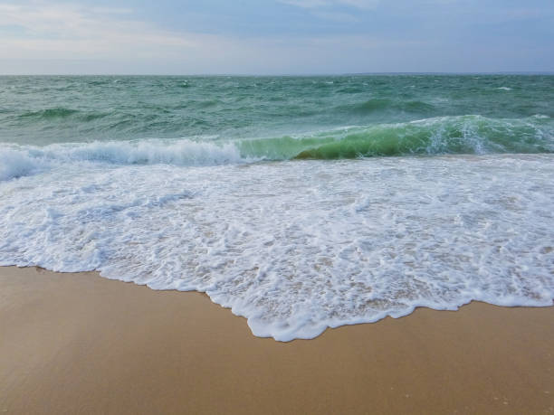 istock Foam of Waves Crashing on Sandy Beach 1136166049