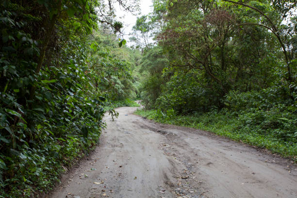 istock Dirt road in Brazil inland 1136166196