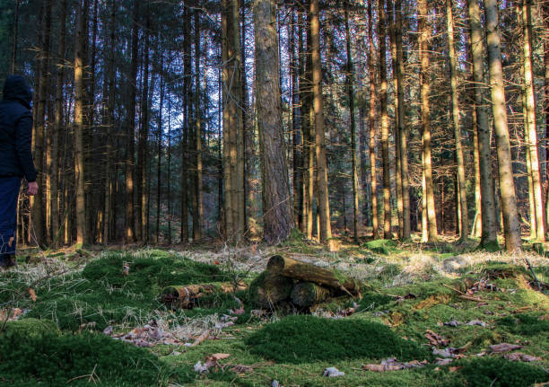 istock life in bavaria 1136166858