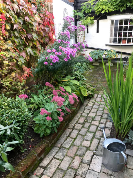 istock An English cottage garden 1136169441