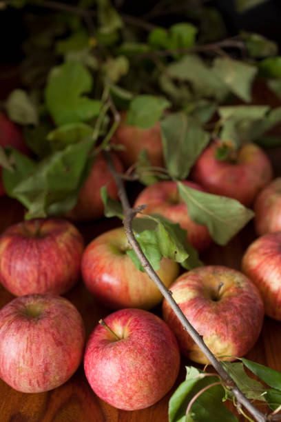 istock Red organic apples with leaves 1136169566