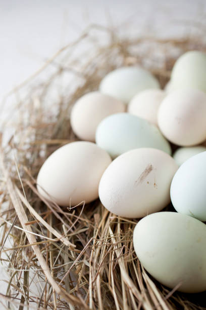 istock lot of eggs in multiple colors 1136170764