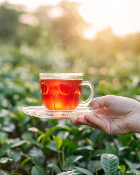 istock Cup of hot black tea 1136174970