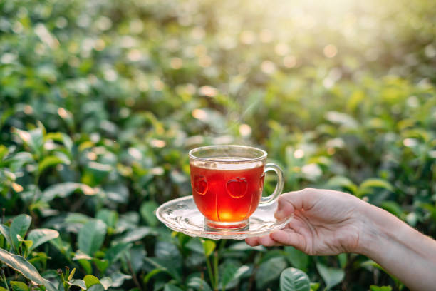 istock Cup of hot black tea 1136174972